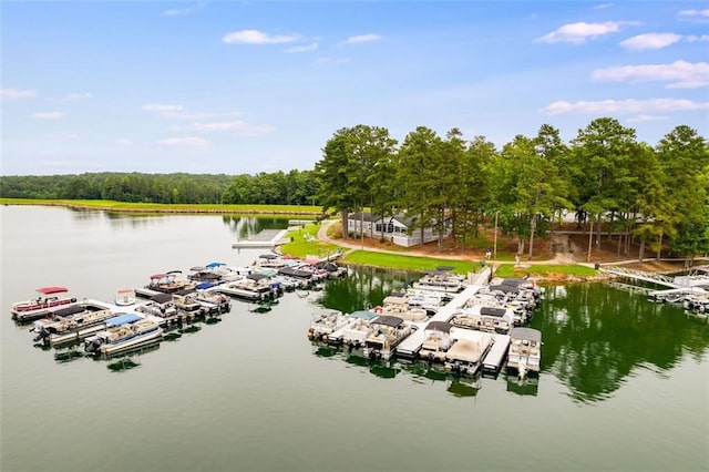 view of dock with a water view