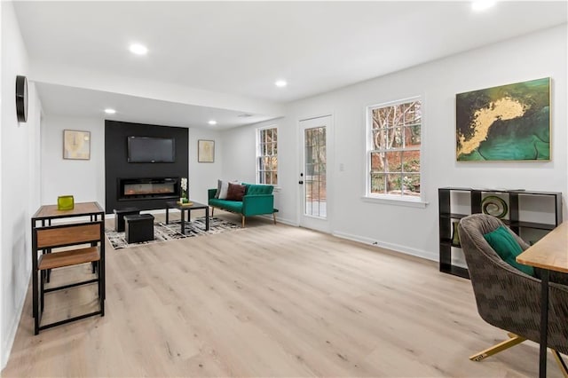 living area featuring a fireplace and light wood-type flooring