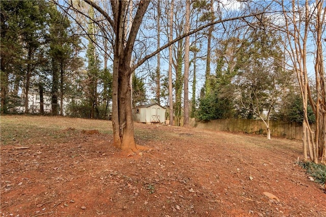 view of yard with a storage unit