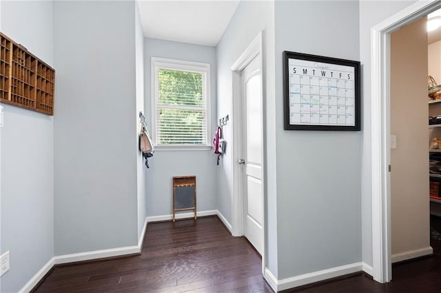 entryway featuring dark hardwood / wood-style flooring