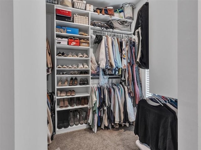 105 Lighthouse Cv SW, Adairsville, GA 30103 - spacious closet with carpet