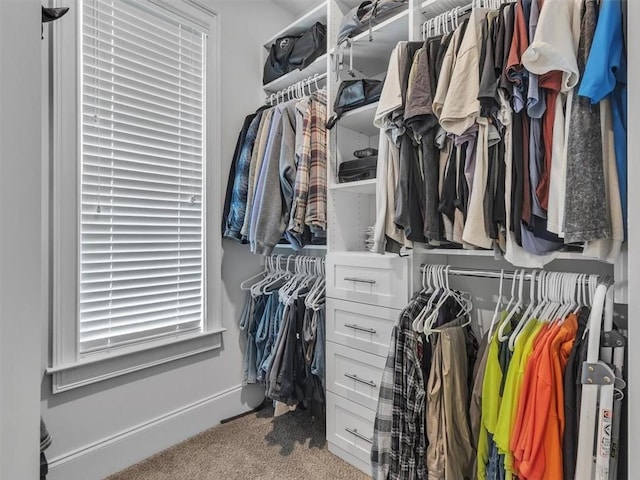 105 Lighthouse Cv SW, Adairsville, GA 30103 - spacious closet featuring carpet
