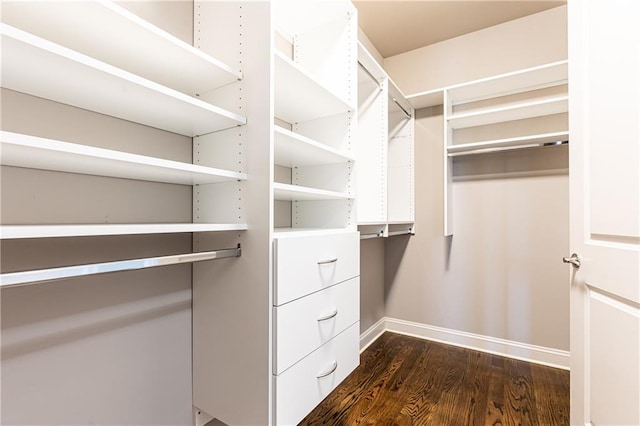 walk in closet featuring dark wood-type flooring