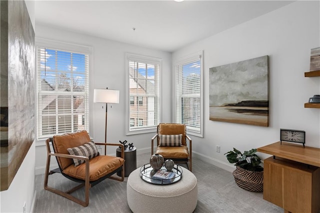 living area with light colored carpet