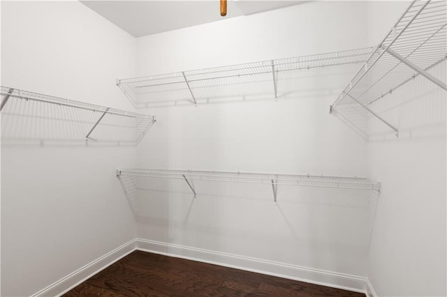 spacious closet featuring hardwood / wood-style flooring