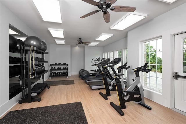 exercise room featuring light hardwood / wood-style flooring and ceiling fan