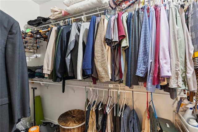 view of spacious closet