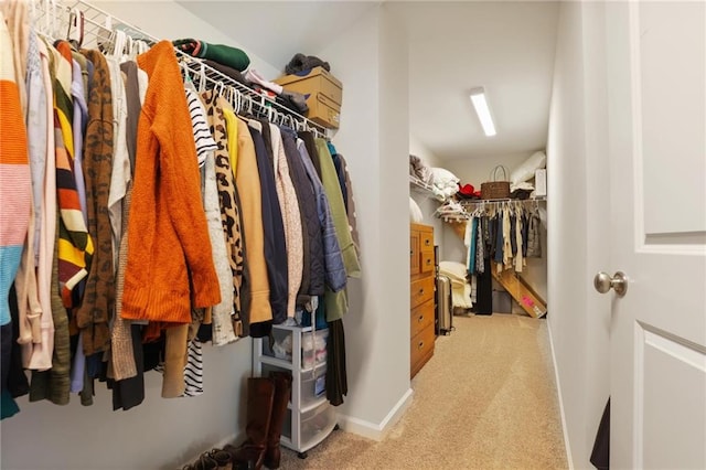 walk in closet with carpet flooring