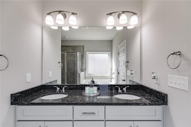 bathroom with vanity and walk in shower