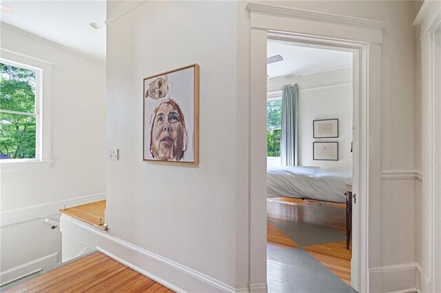 hall featuring wood finished floors and a wealth of natural light