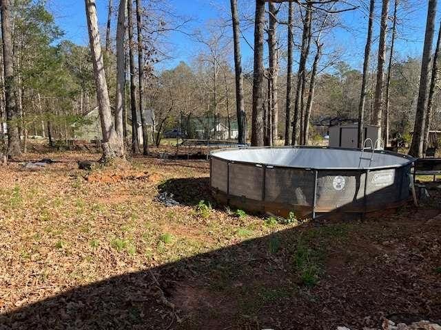 view of yard featuring a forest view and an empty pool