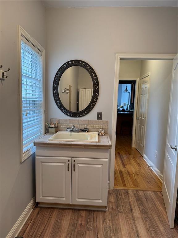 bathroom featuring vanity, hardwood / wood-style floors, and backsplash