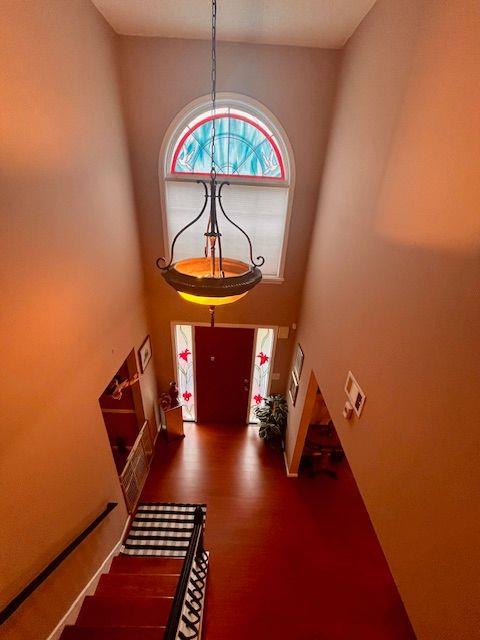 entrance foyer featuring a high ceiling and dark hardwood / wood-style floors