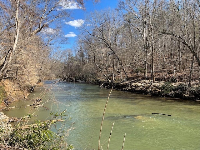 property view of water featuring a view of trees