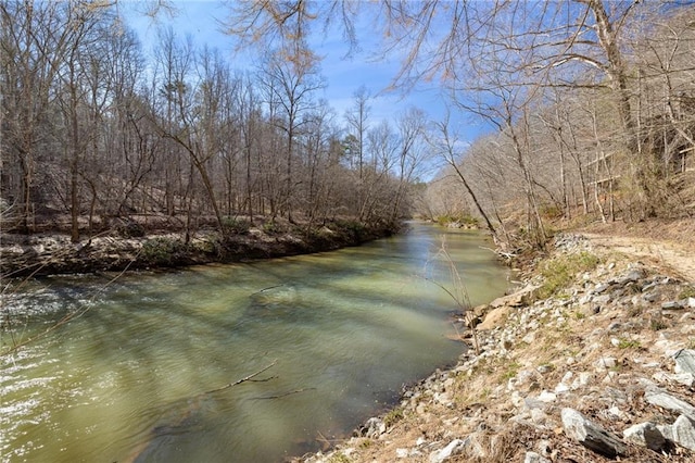 water view featuring a forest view