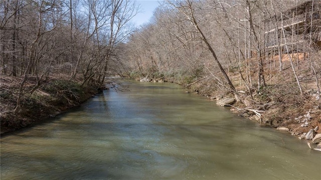 property view of water with a forest view