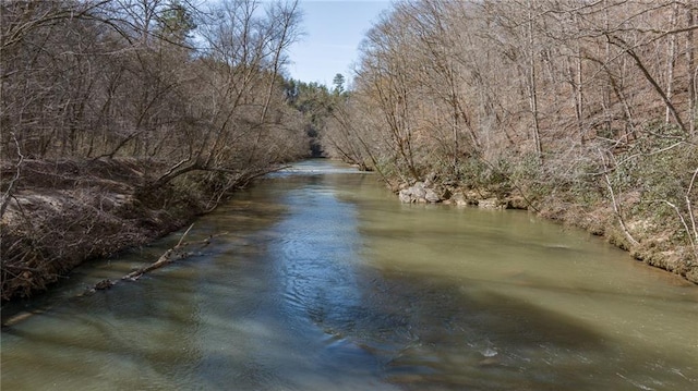 view of water feature with a forest view