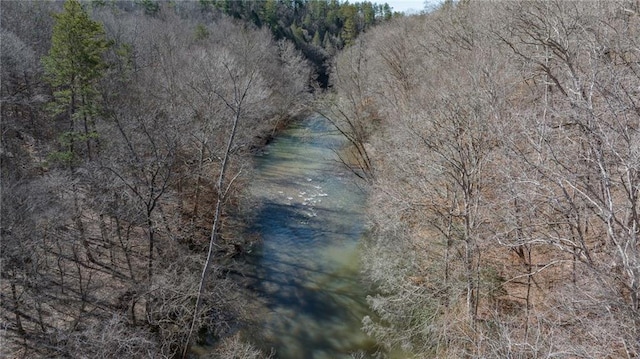 property view of water with a wooded view