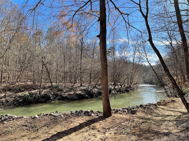 water view featuring a wooded view