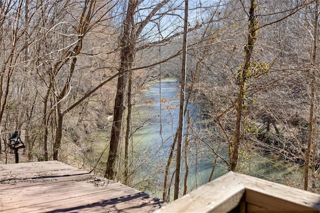 water view with a view of trees