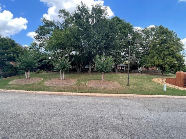 view of front of home with a front lawn