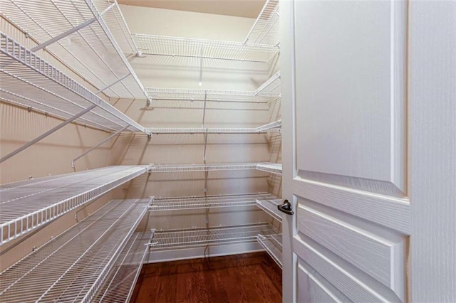 240 Chandler Walk, Loganville, GA 30052 - view of pantry