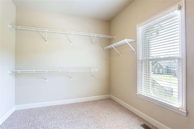 240 Chandler Walk, Loganville, GA 30052 - spacious closet featuring carpet flooring