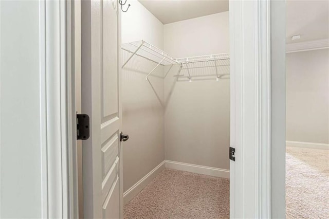 240 Chandler Walk, Loganville, GA 30052 - spacious closet featuring carpet
