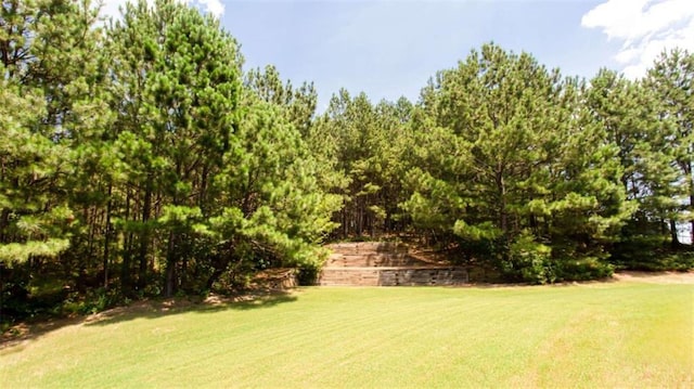 240 Chandler Walk, Loganville, GA 30052 - view of grassy yard