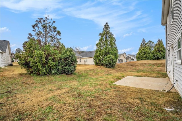 view of yard featuring a patio