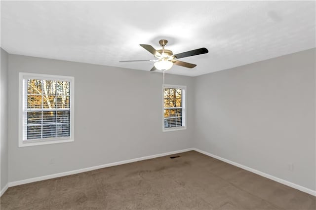 97 Spring Leaf Dr, Dallas, GA 30157 - spare room with a healthy amount of sunlight, carpet flooring, and baseboards