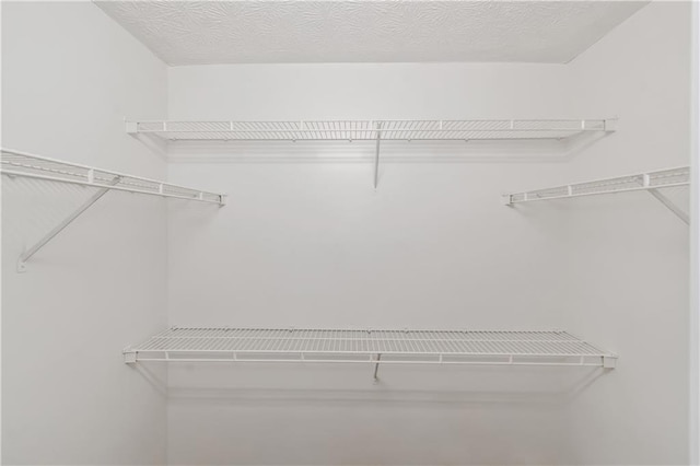 97 Spring Leaf Dr, Dallas, GA 30157 - view of spacious closet