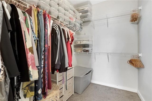 walk in closet with light carpet