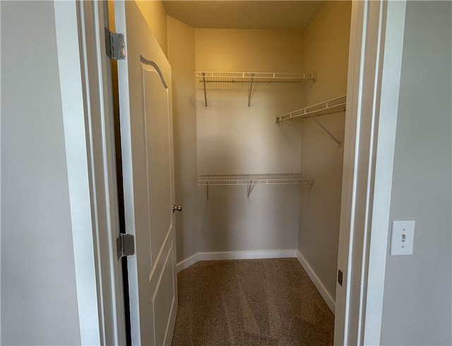 spacious closet featuring carpet flooring