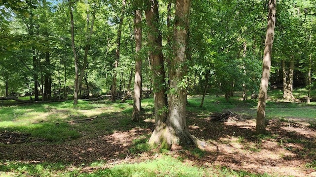 6670 Old Ferry Ct, Douglasville, GA 30135