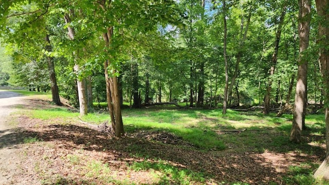 6670 Old Ferry Ct, Douglasville, GA 30135