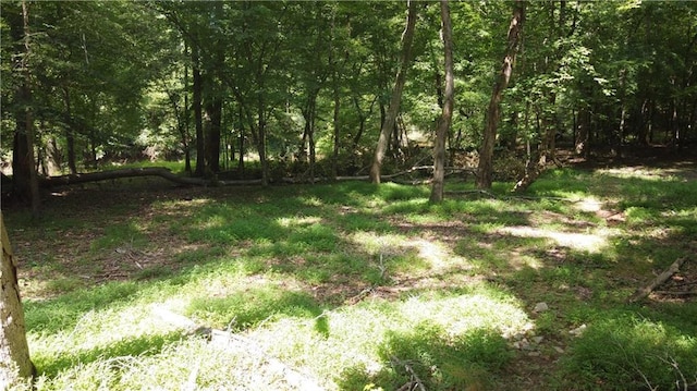6670 Old Ferry Ct, Douglasville, GA 30135