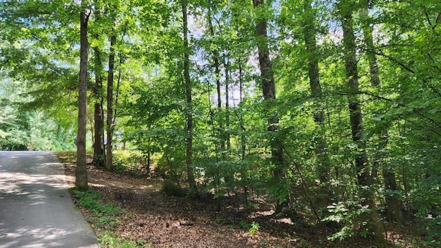 6670 Old Ferry Ct, Douglasville, GA 30135