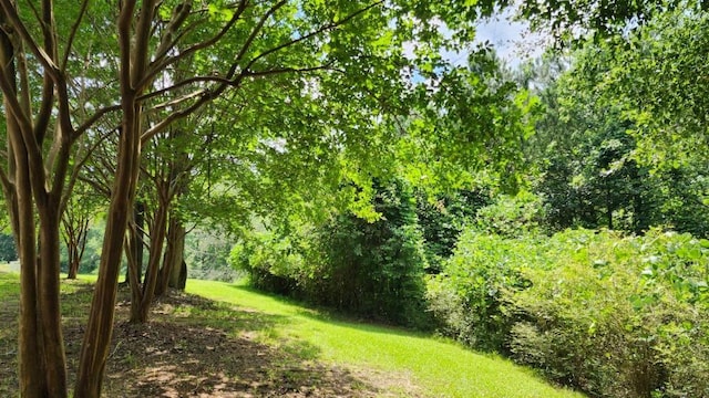 6670 Old Ferry Ct, Douglasville, GA 30135