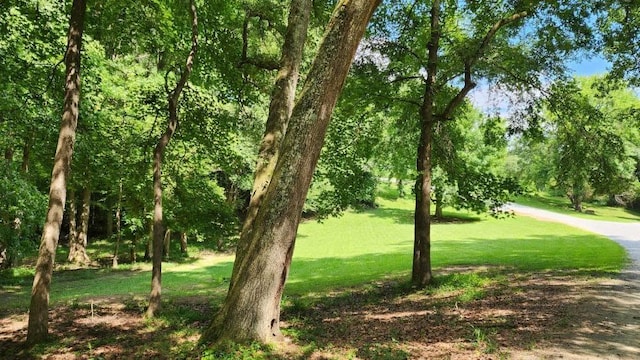 6670 Old Ferry Ct, Douglasville, GA 30135