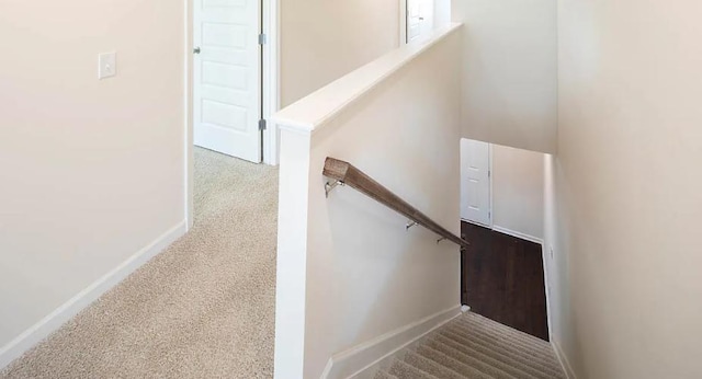 staircase featuring carpet flooring