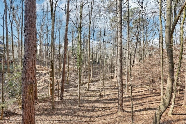 view of local wilderness