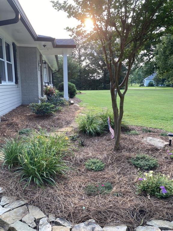 view of grassy yard