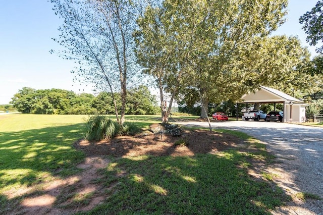 view of green lawn featuring driveway and a carport