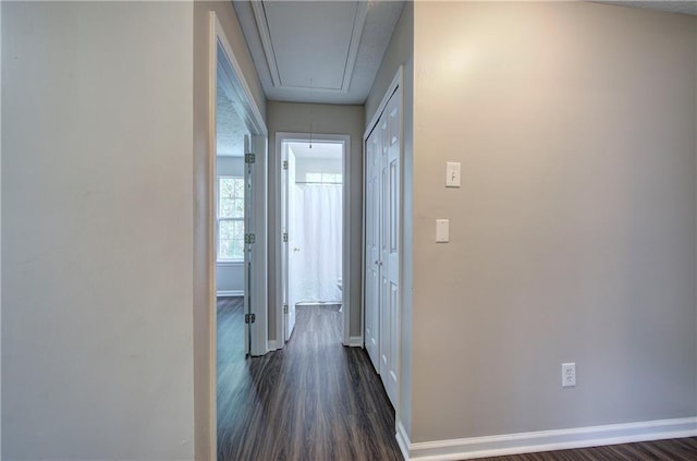 4975 Rockstone Way, Acworth, GA 30101 - hall featuring attic access and dark wood-style floors
