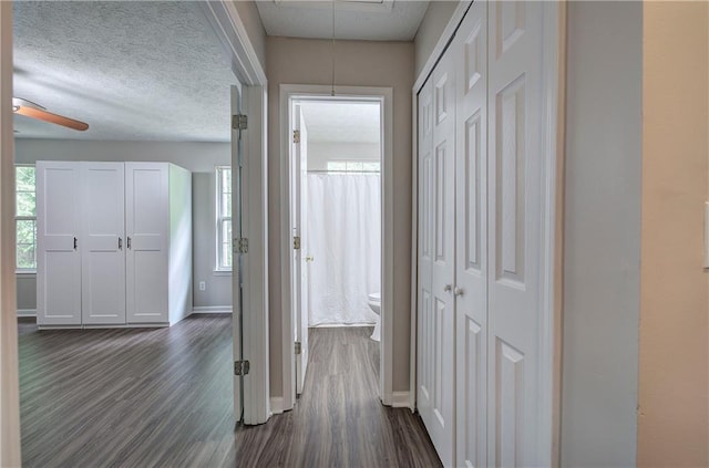 4975 Rockstone Way, Acworth, GA 30101 - hallway featuring attic access, dark wood-style floors, and healthy amount of natural light