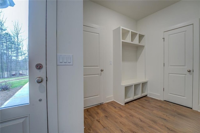 mudroom featuring a healthy amount of sunlight and wood finished floors