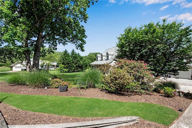 2176 Pine Lake Rd, Hiawassee, GA 30546 - view of grassy yard