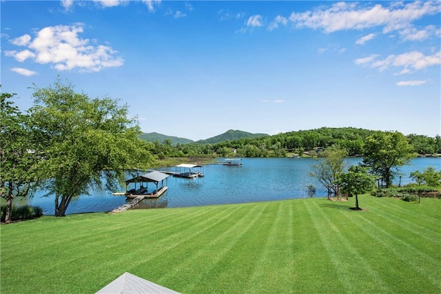 2176 Pine Lake Rd, Hiawassee, GA 30546 - water view featuring a dock and mountains