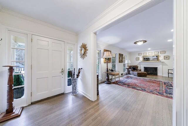 foyer entrance featuring crown molding and hardwood / wood-style floors